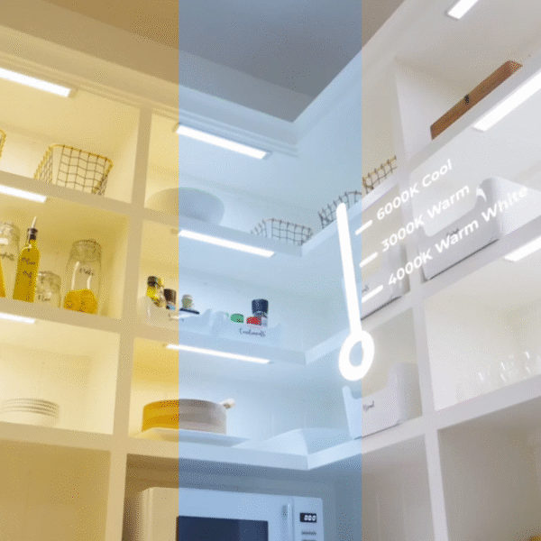 Smart+ Everywhere Light LED